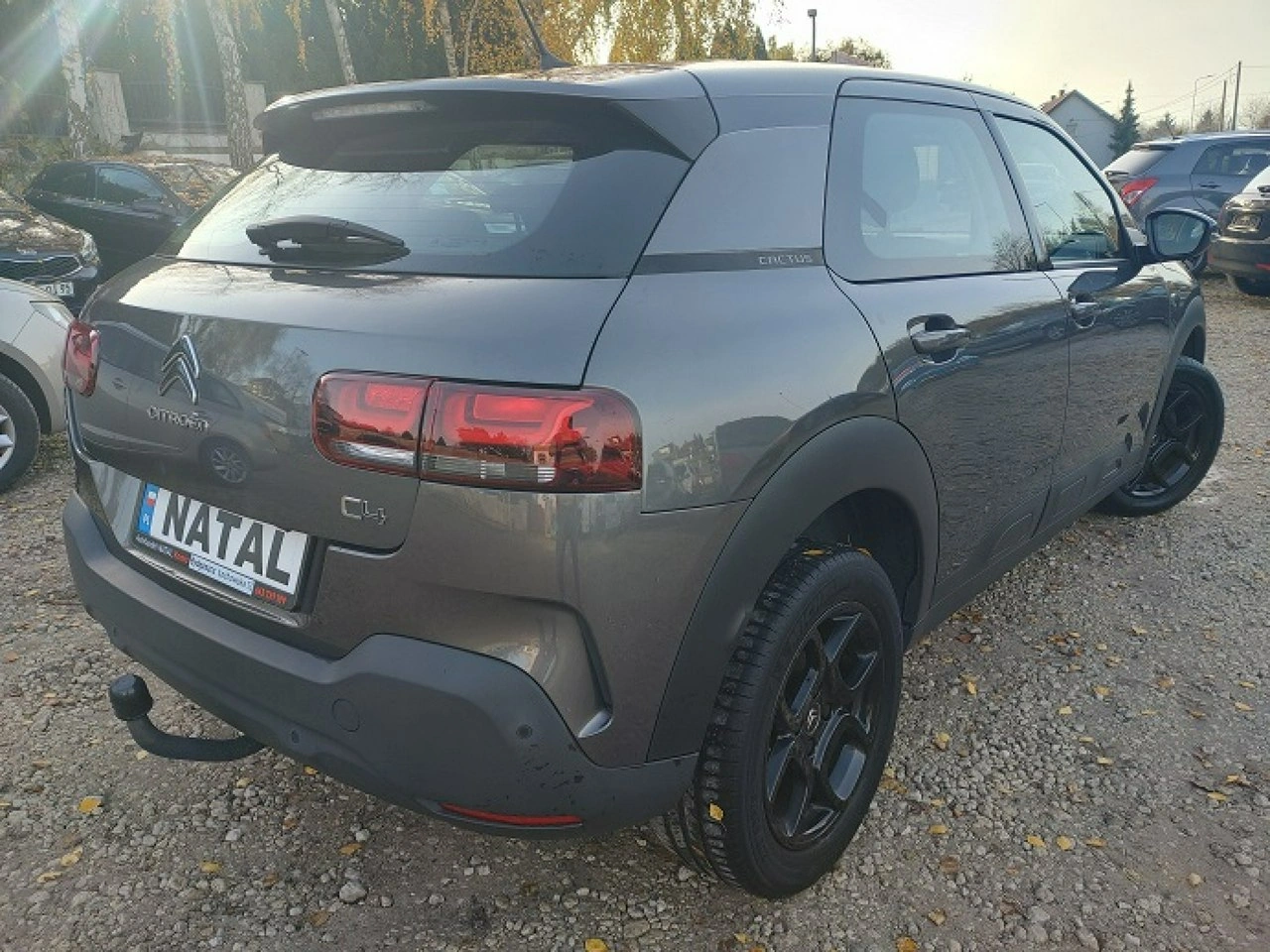 Citroën C4 Cactus - Zdjęcie 1