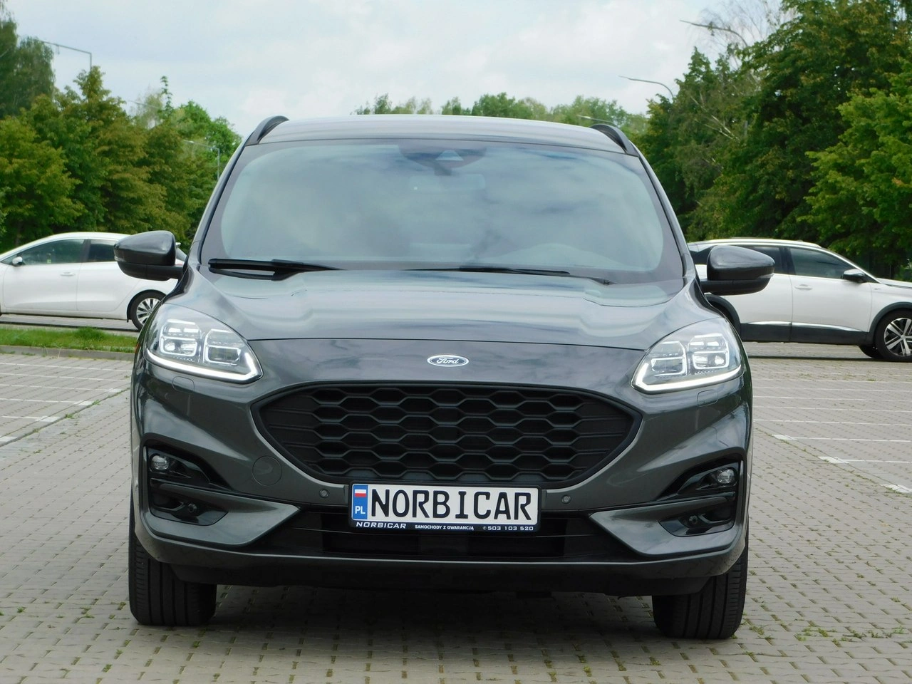 Ford Kuga - Zdjęcie 18