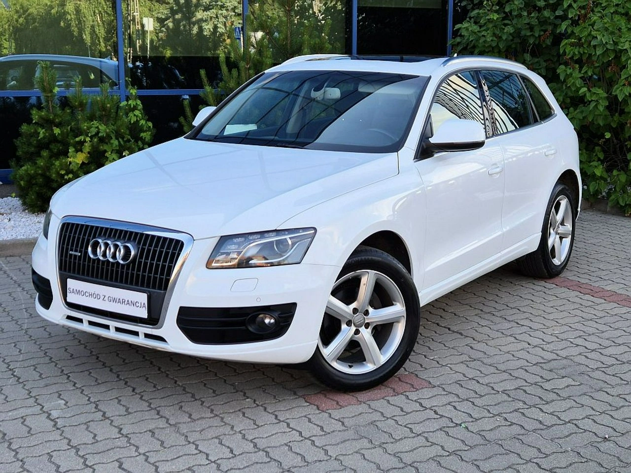 Audi Q5 - Główne zdjęcie
