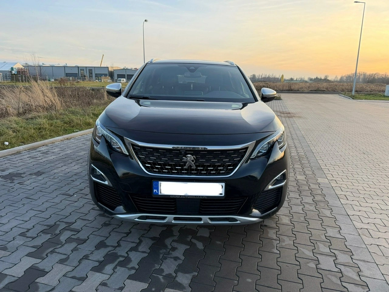 Peugeot 3008 - Zdjęcie 8