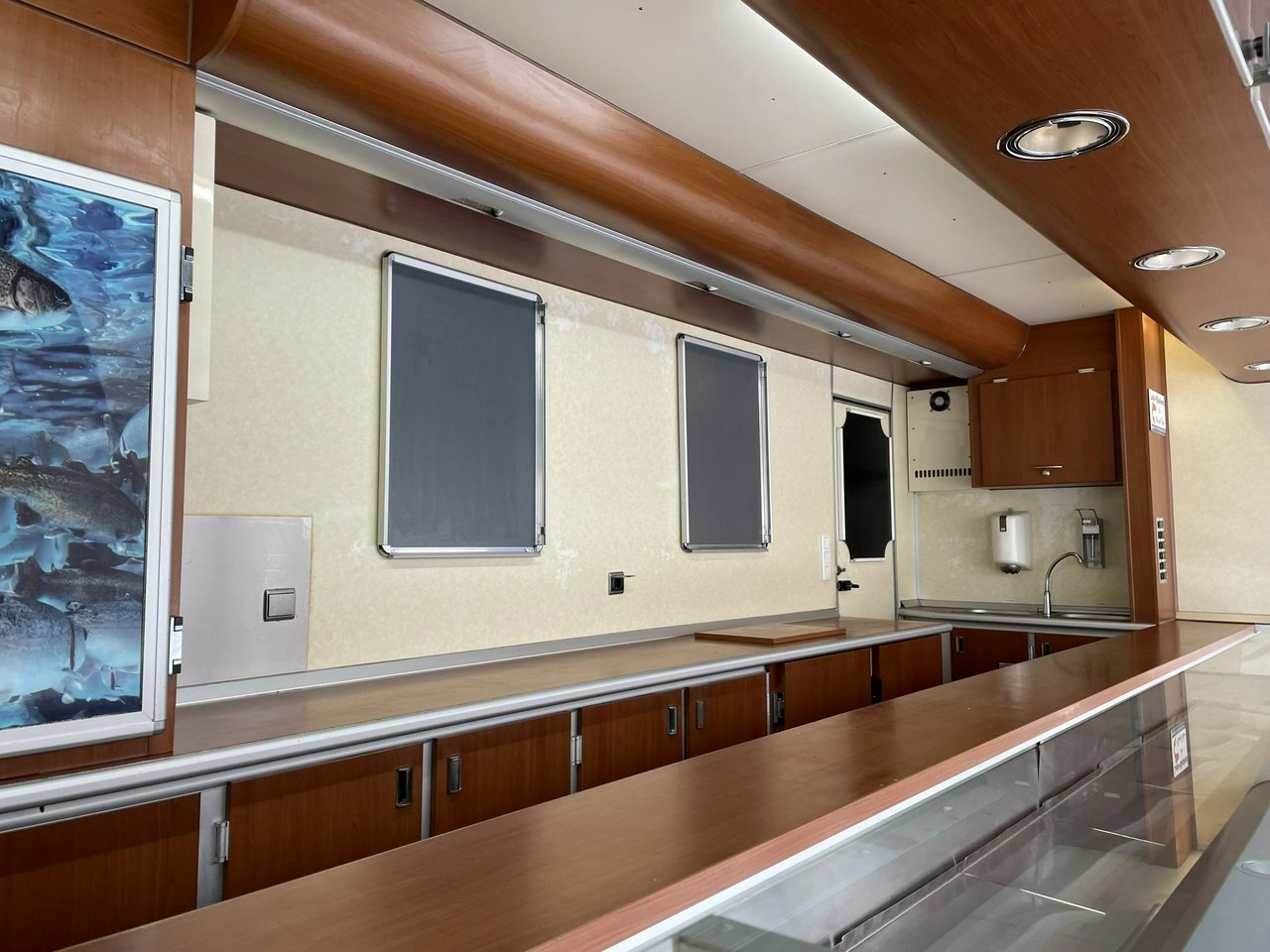 Fiat Ducato - Zdjęcie 13