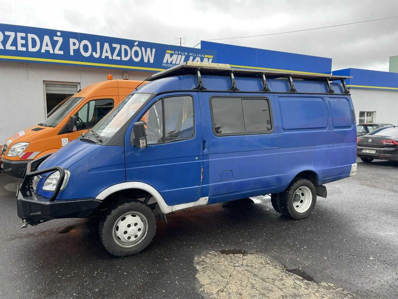 Gaz Gazela - Zdjęcie 16