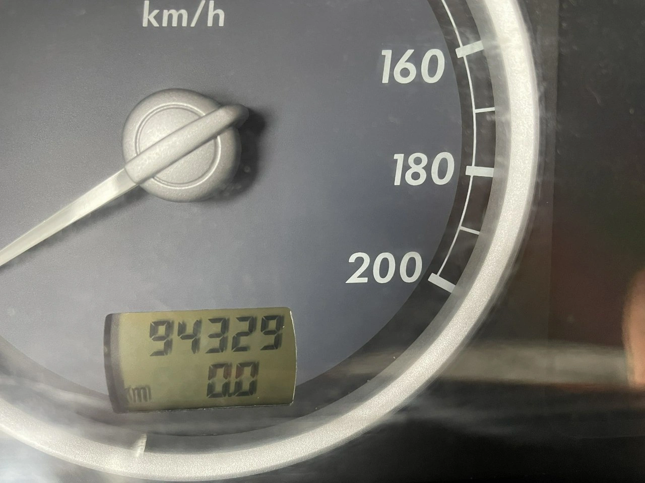 Gaz Gazela - Zdjęcie 20