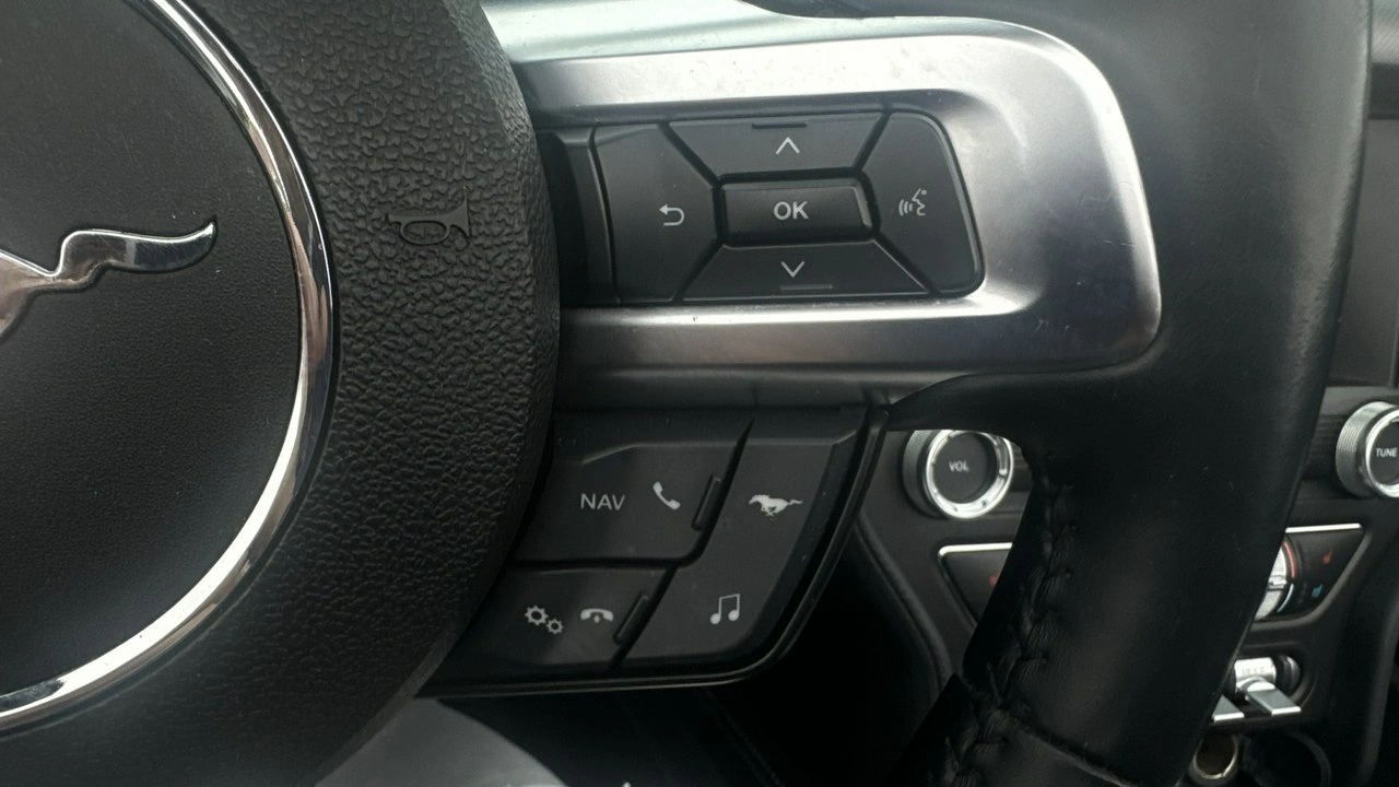 Ford Mustang - Zdjęcie 22