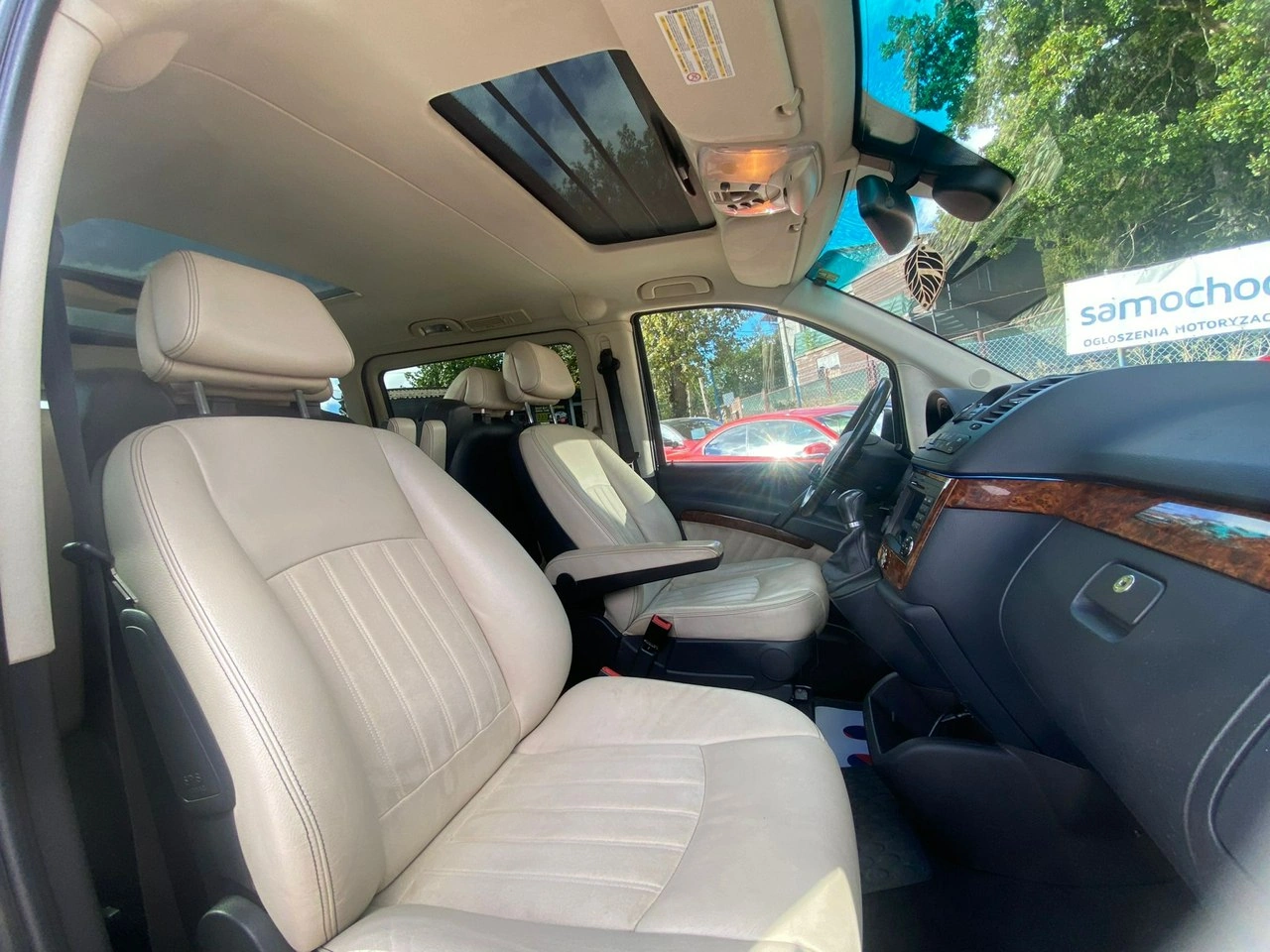 Mercedes Viano - Zdjęcie 36