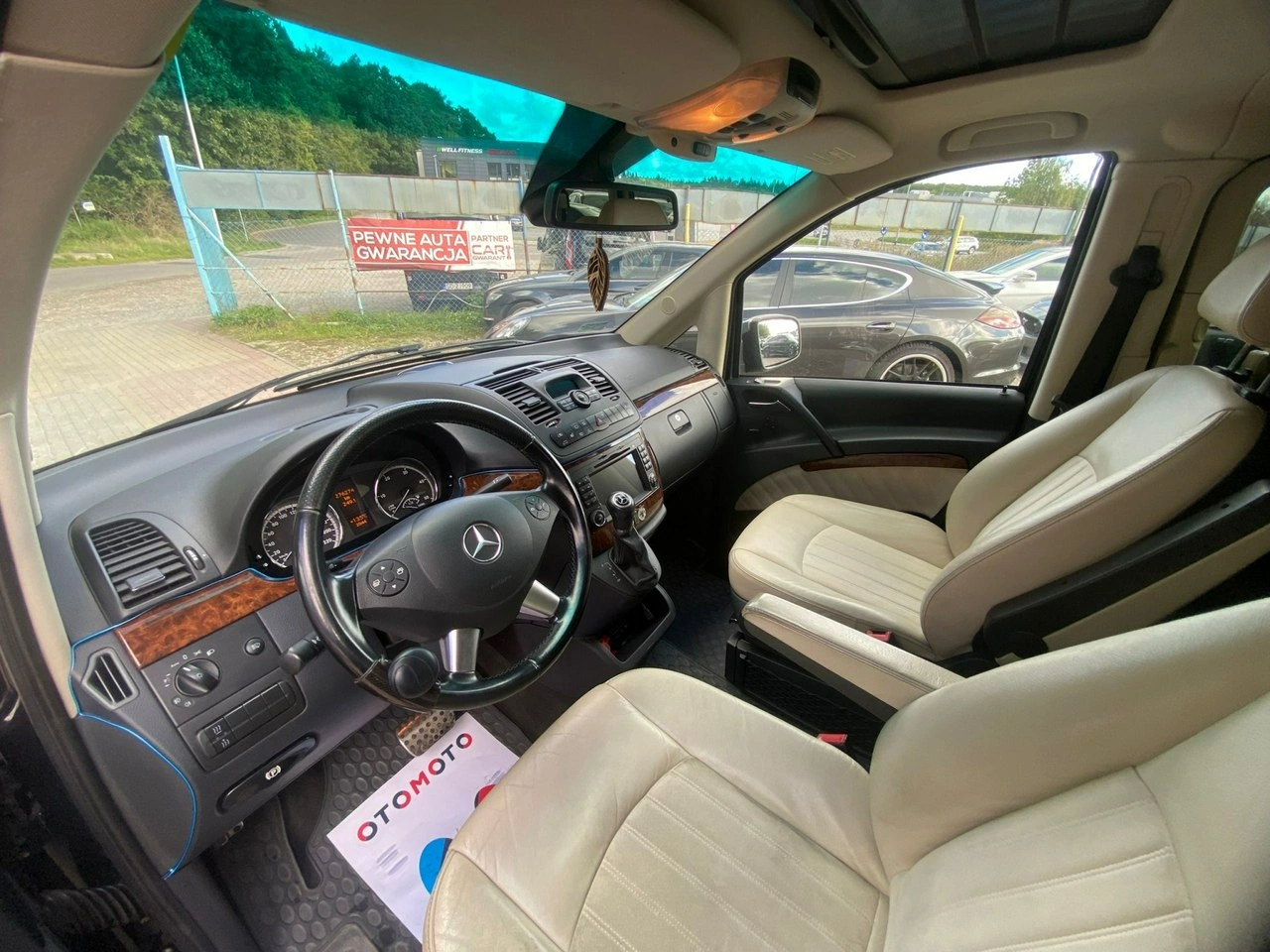 Mercedes Viano - Zdjęcie 45