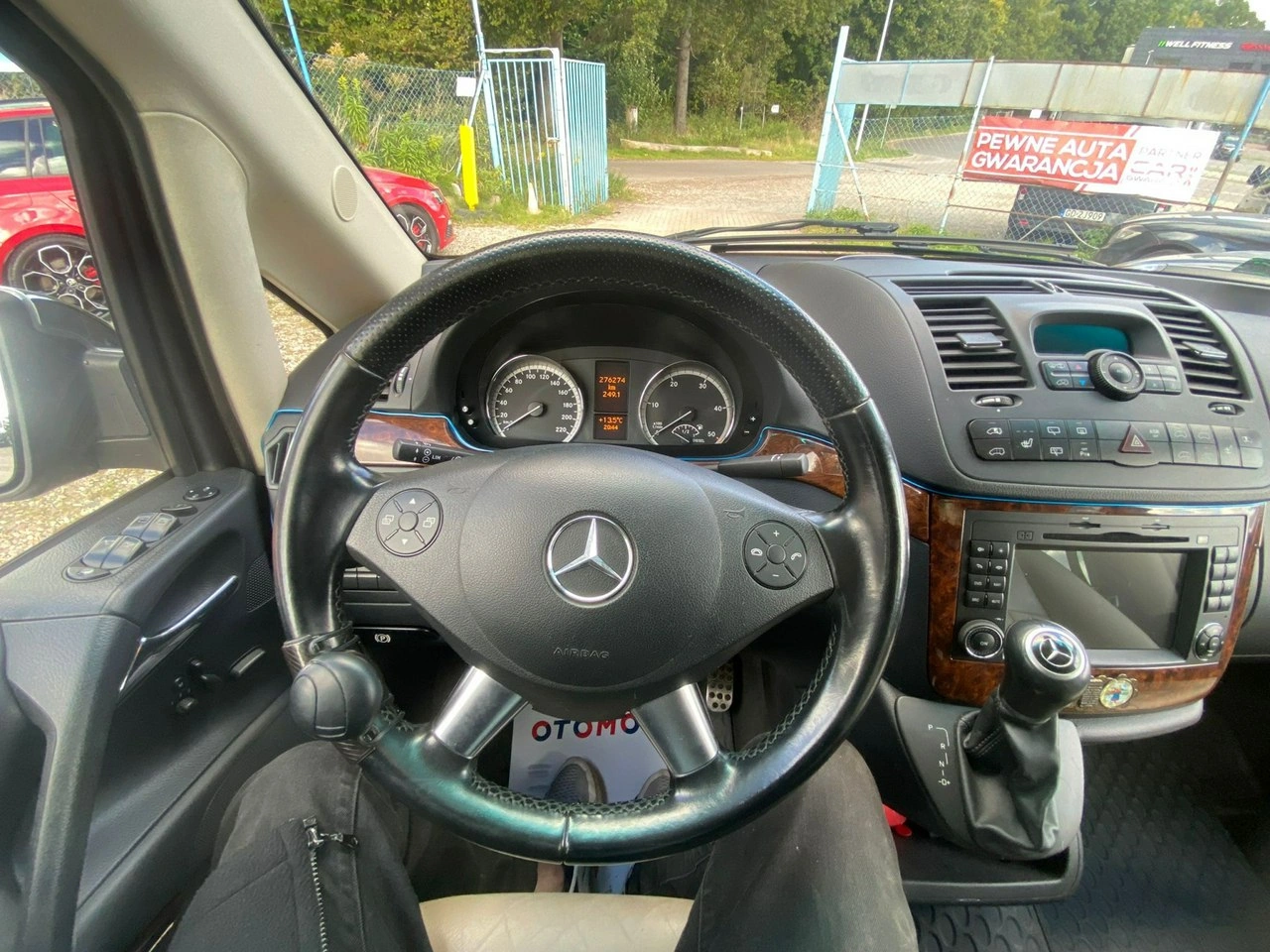 Mercedes Viano - Zdjęcie 52