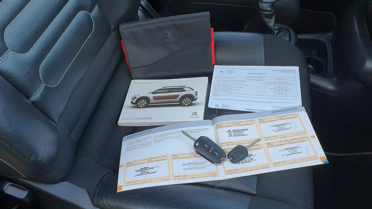 Citroën C4 Cactus - Zdjęcie 25