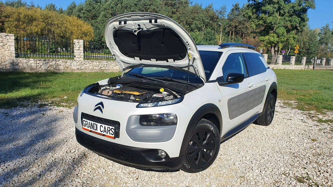 Citroën C4 Cactus - Zdjęcie 28