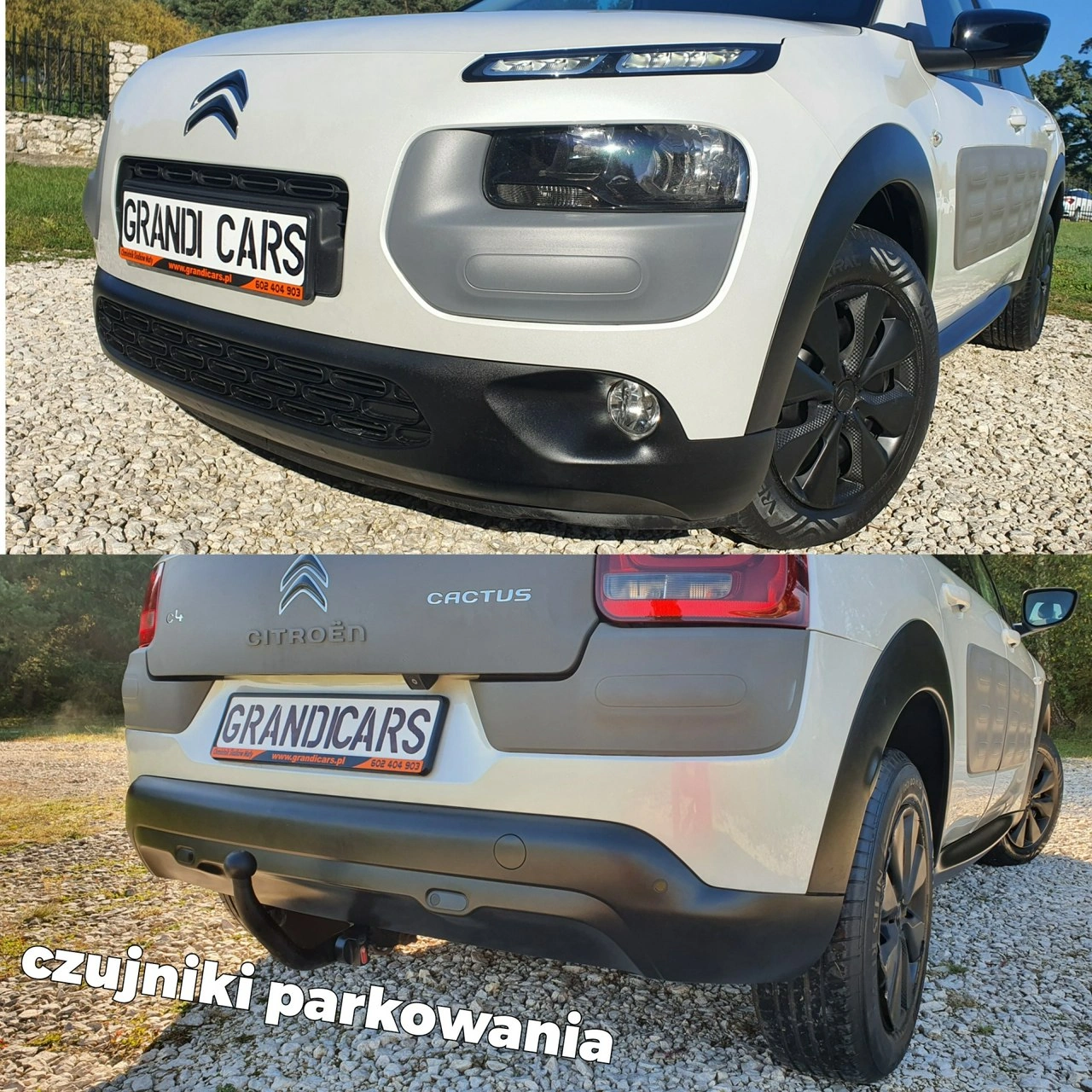 Citroën C4 Cactus - Zdjęcie 38