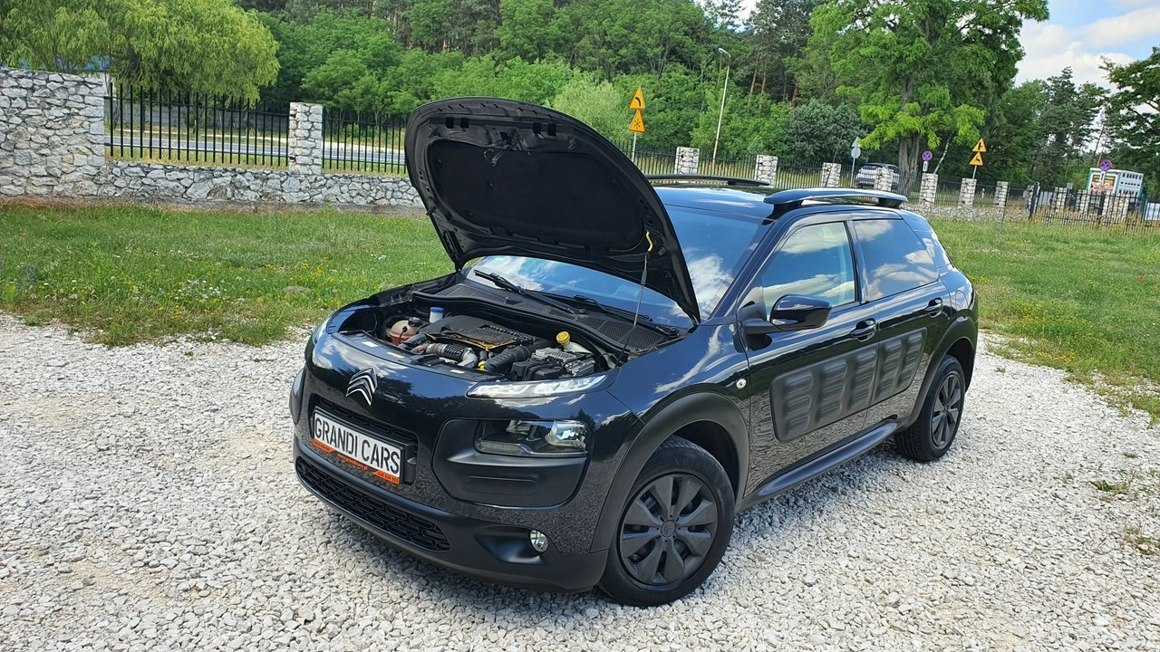 Citroën C4 Cactus - Zdjęcie 29