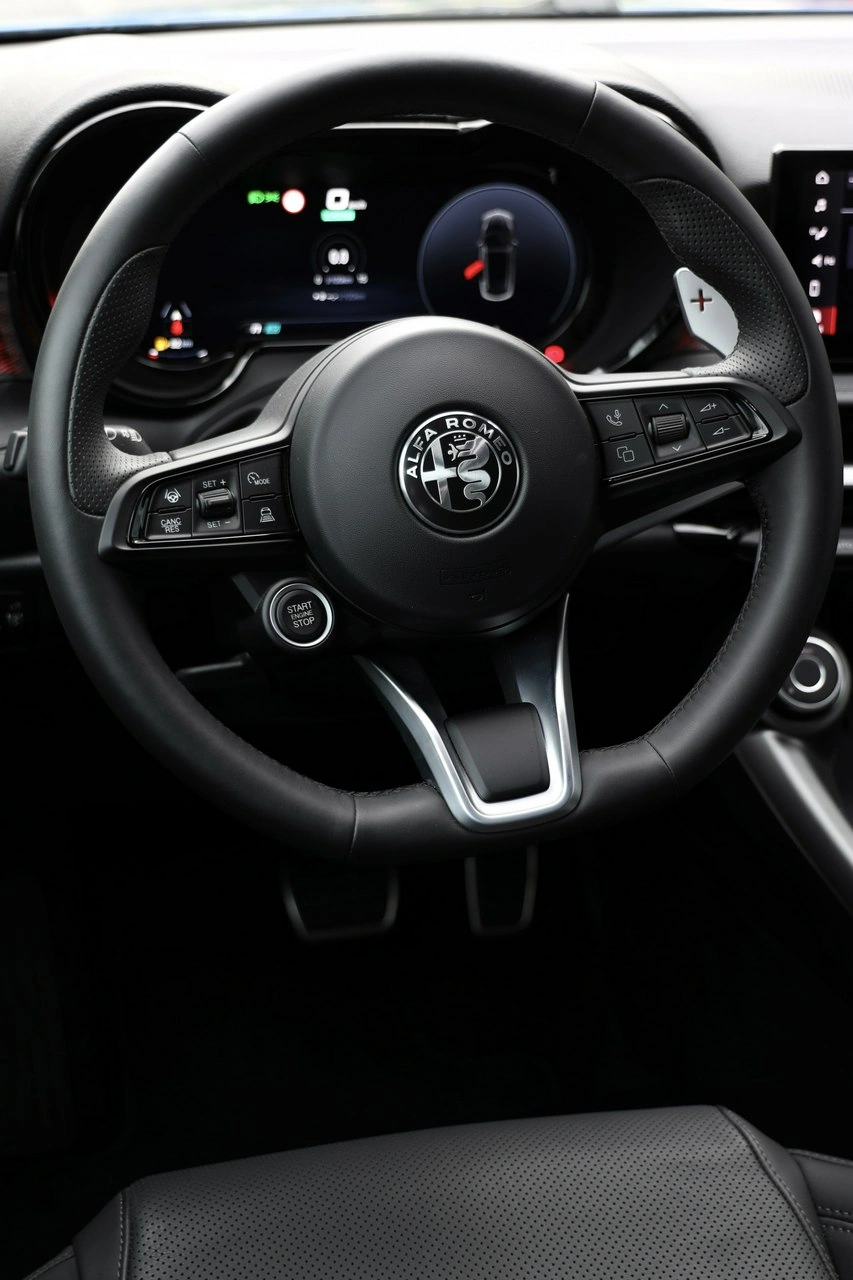 Alfa Romeo Tonale - Zdjęcie 13