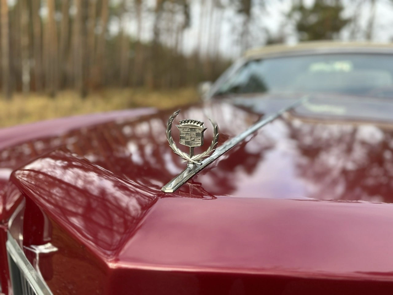 Cadillac Eldorado - Zdjęcie 46