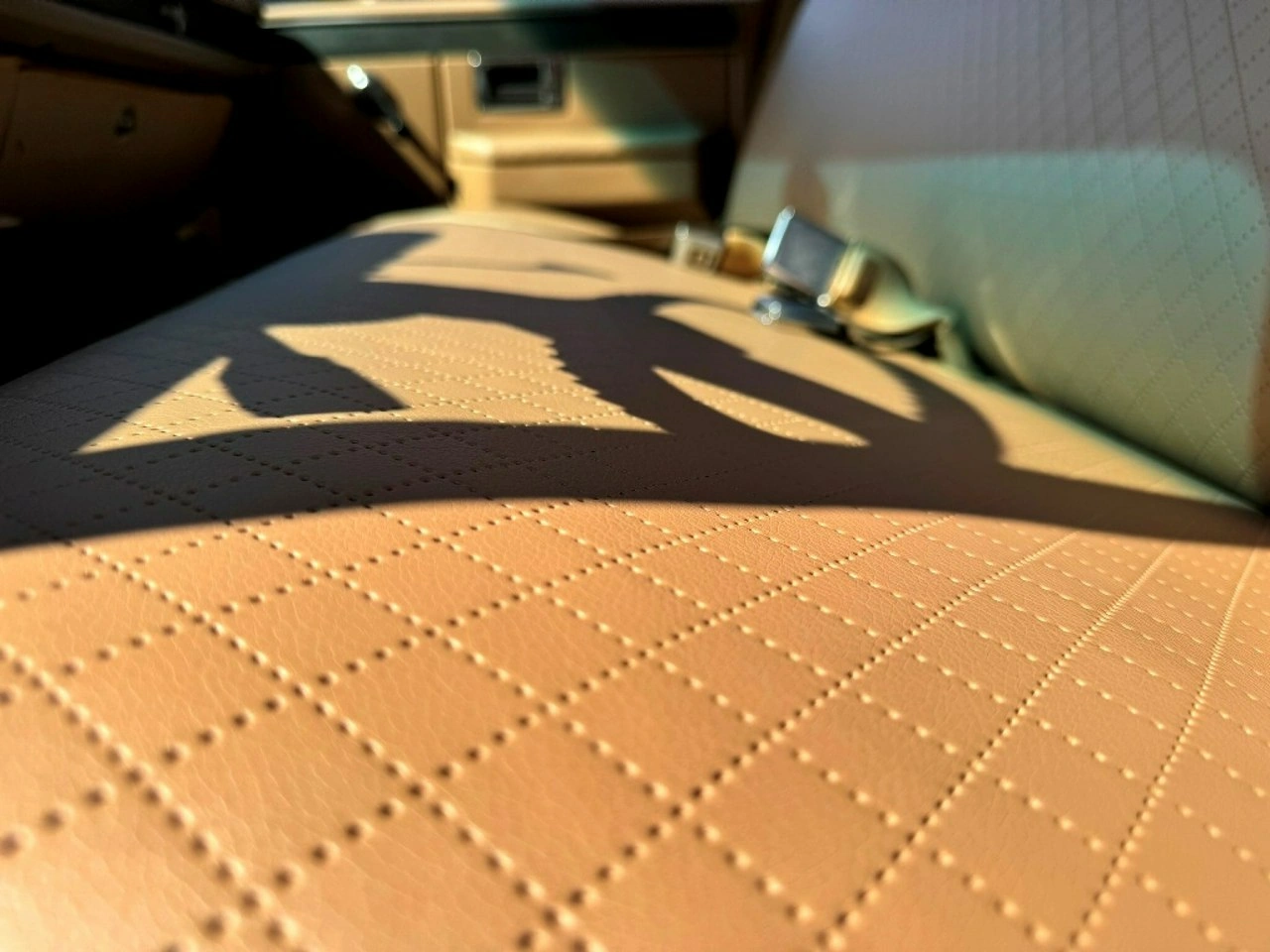 Chevrolet C-20 - Zdjęcie 11