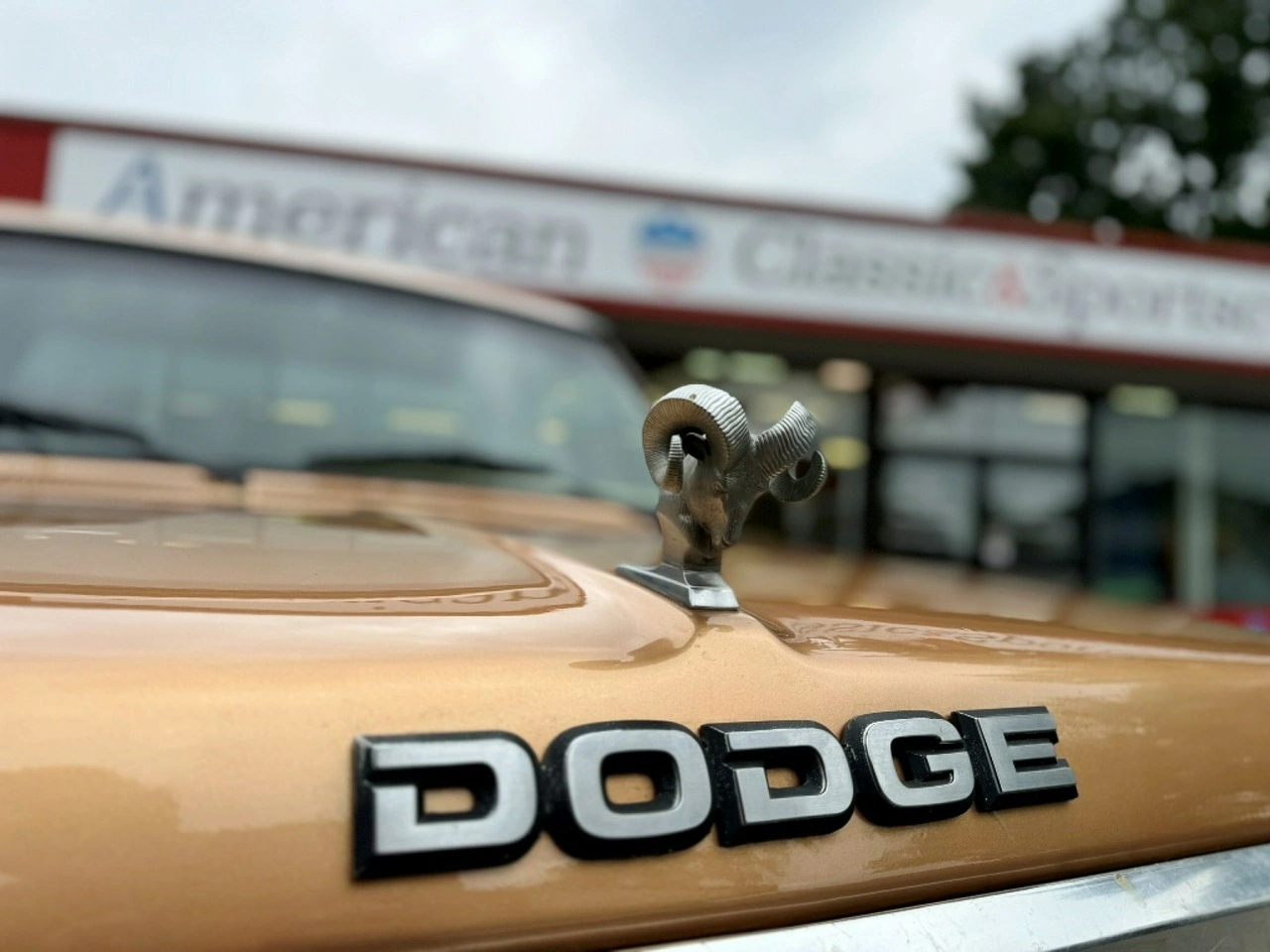 Dodge RAM - Zdjęcie 14