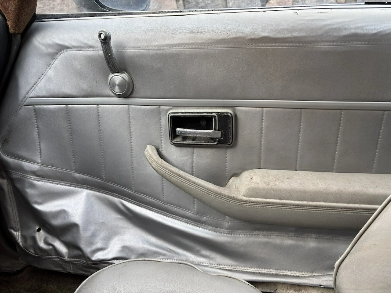 Pontiac Firebird / Trans Am - Zdjęcie 19