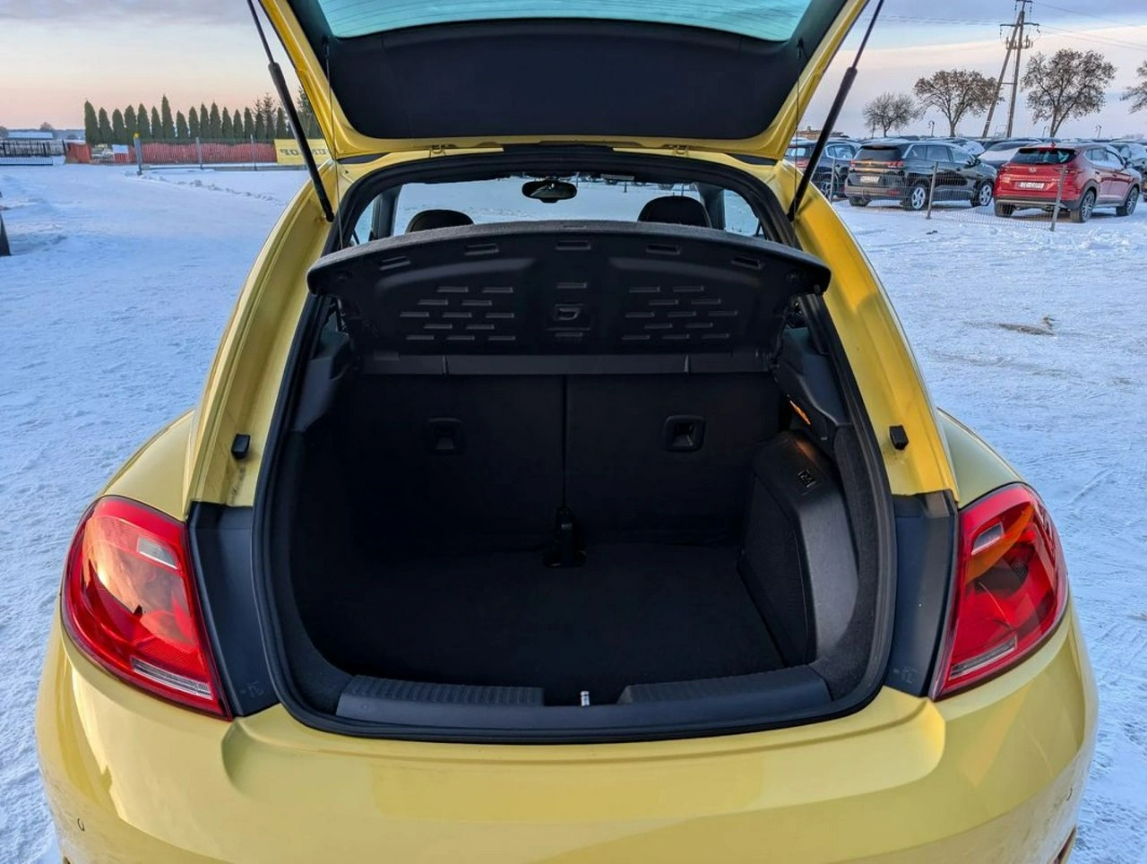 Volkswagen Beetle - Zdjęcie 25