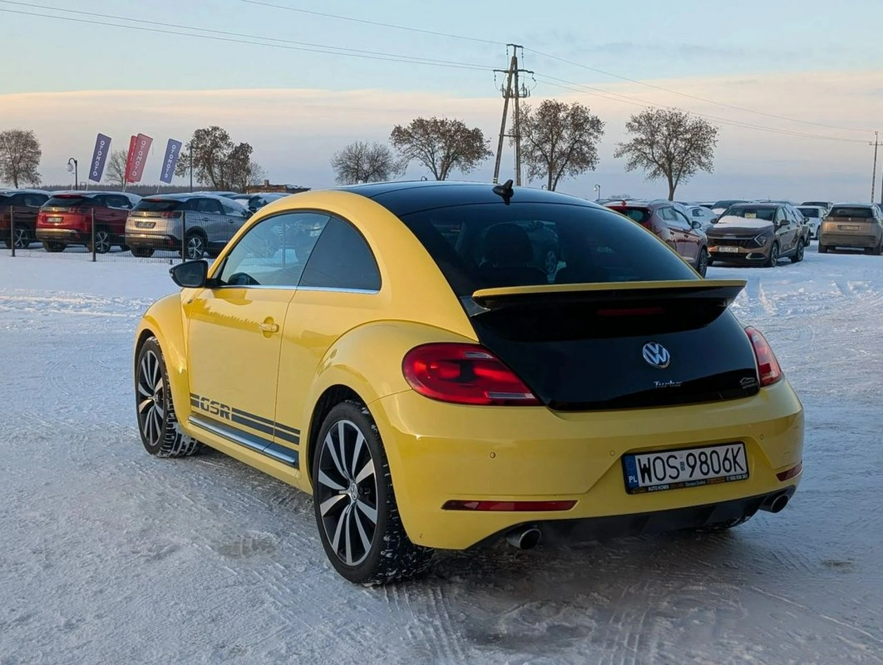 Volkswagen Beetle - Zdjęcie 31