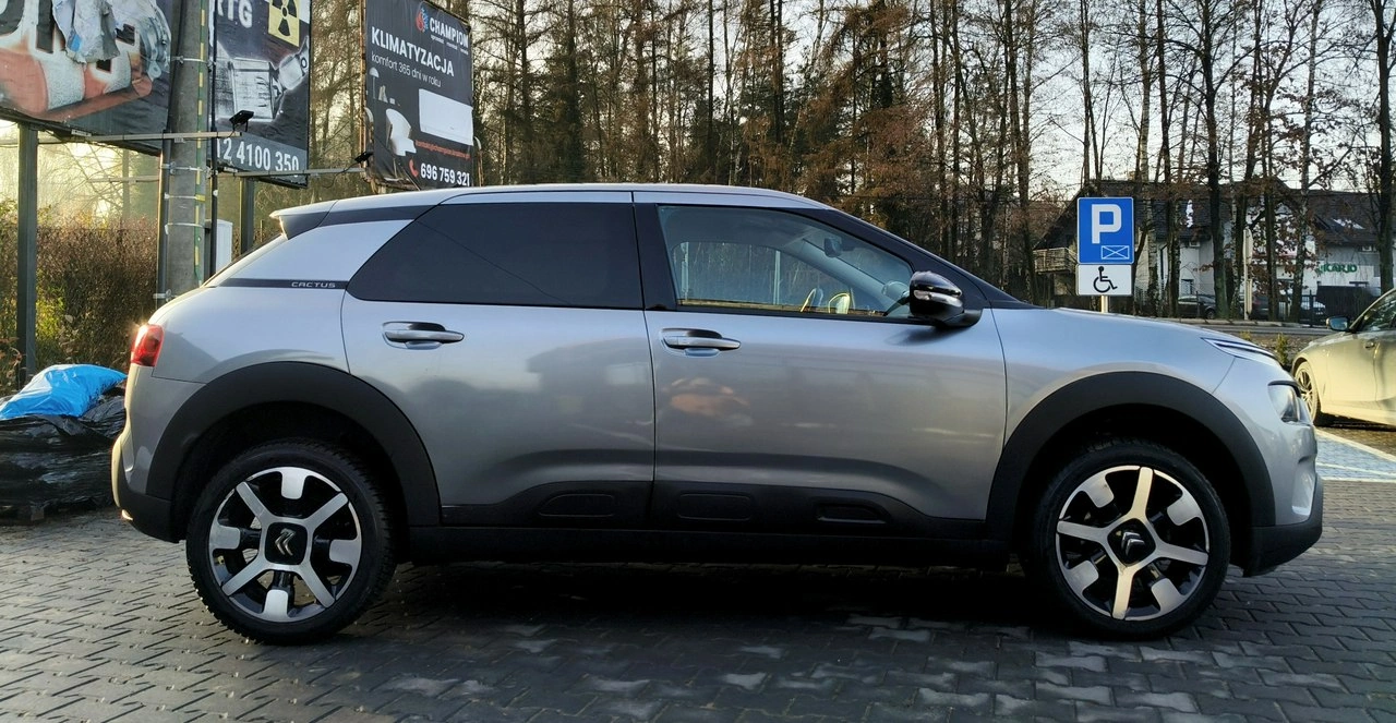 Citroën C4 Cactus - Zdjęcie 16