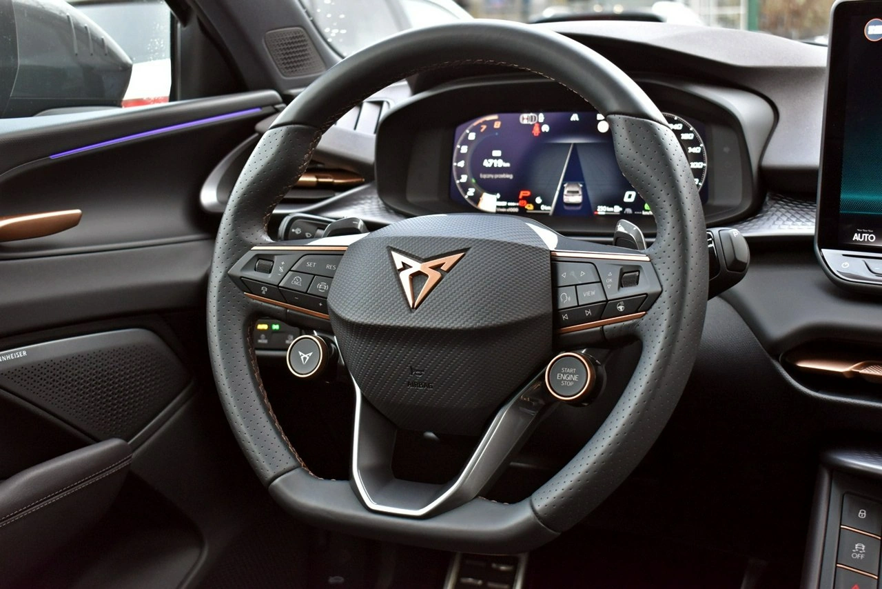 Cupra Terramar - Zdjęcie 21