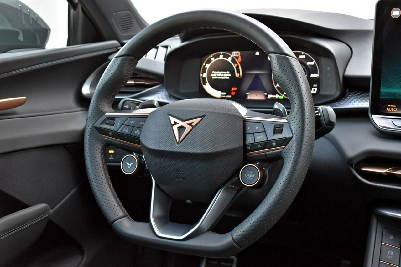 Cupra Terramar - Zdjęcie 19