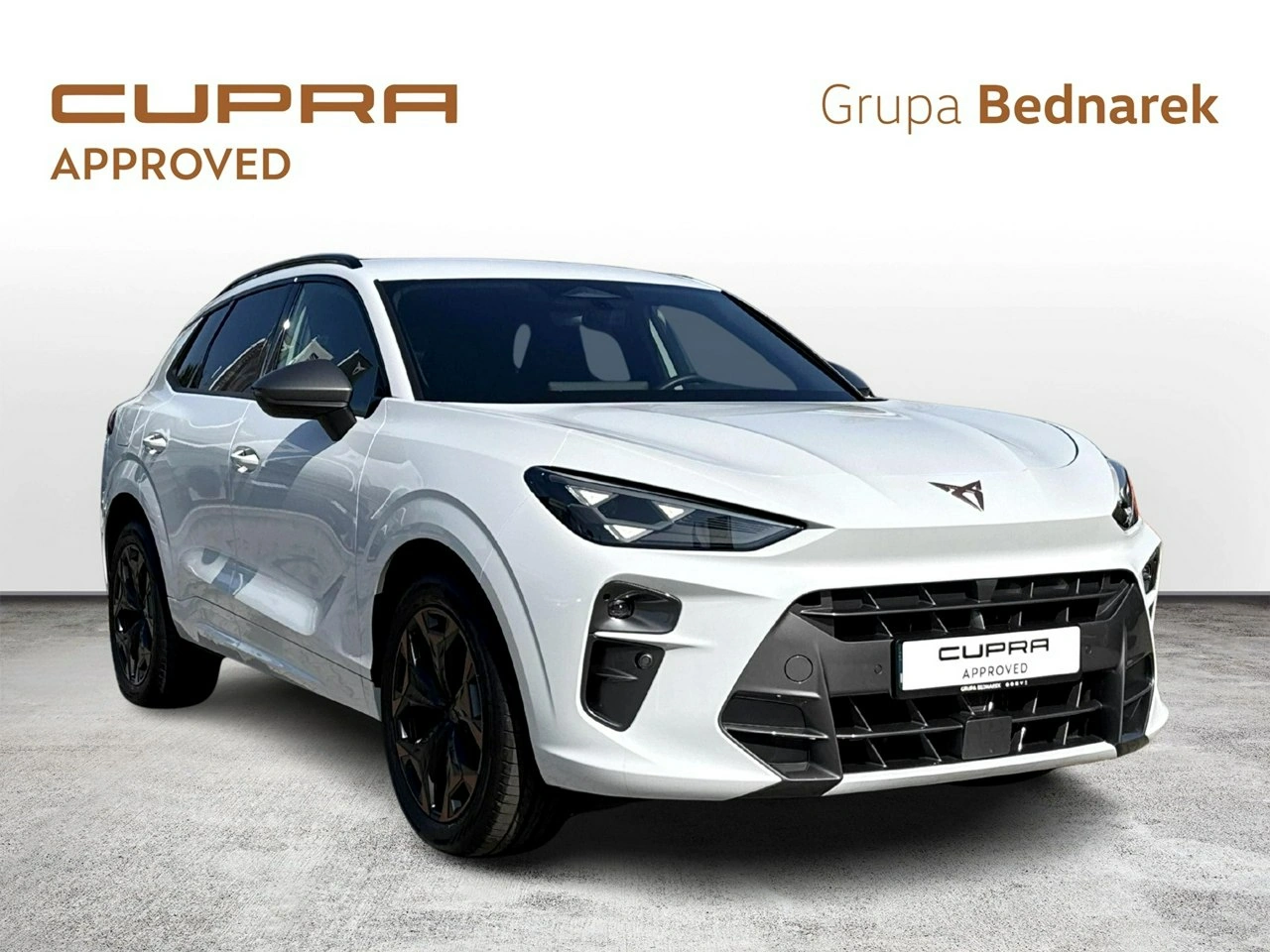 Cupra Terramar - Zdjęcie 6