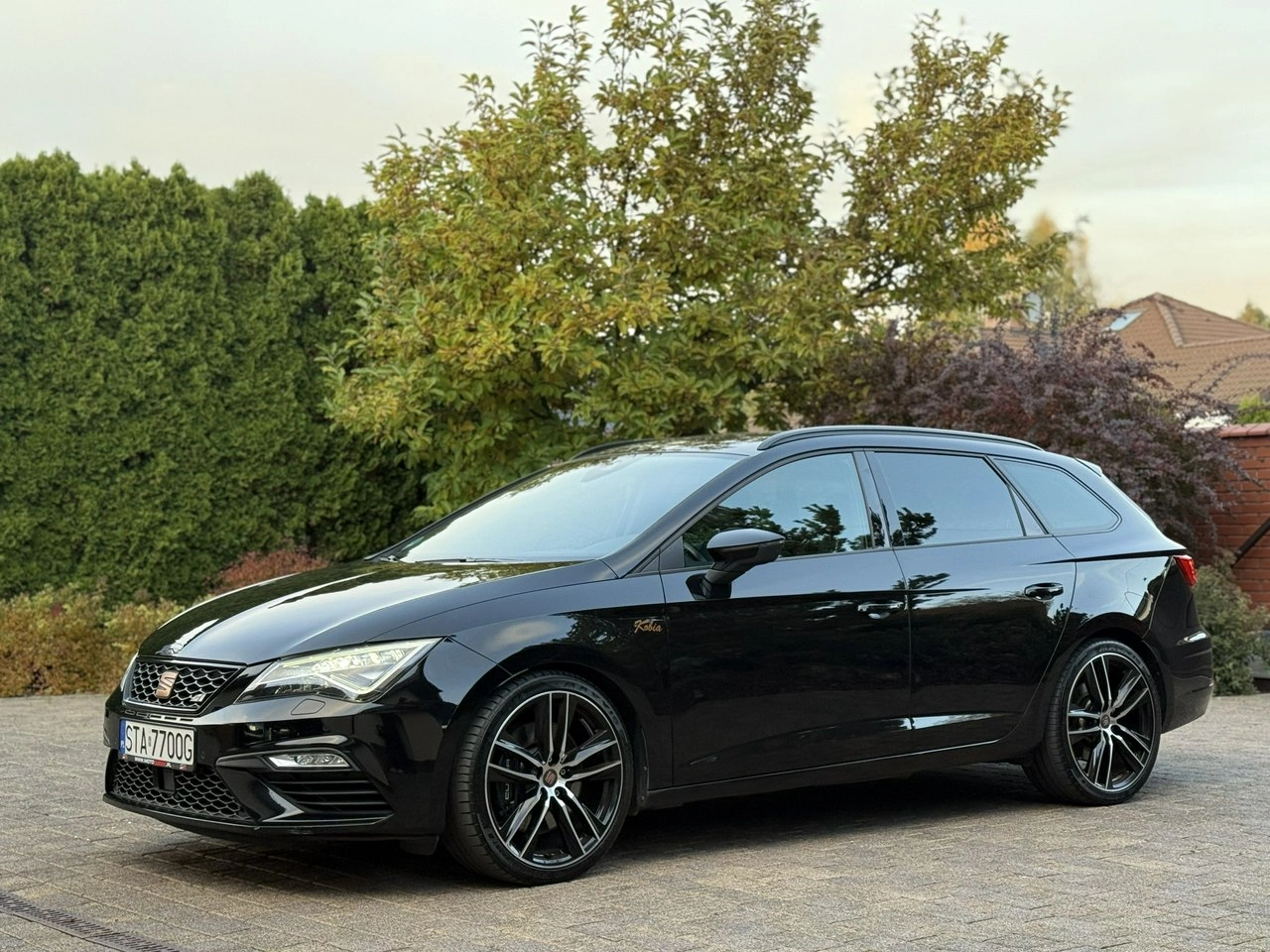 Seat Leon - Zdjęcie 10