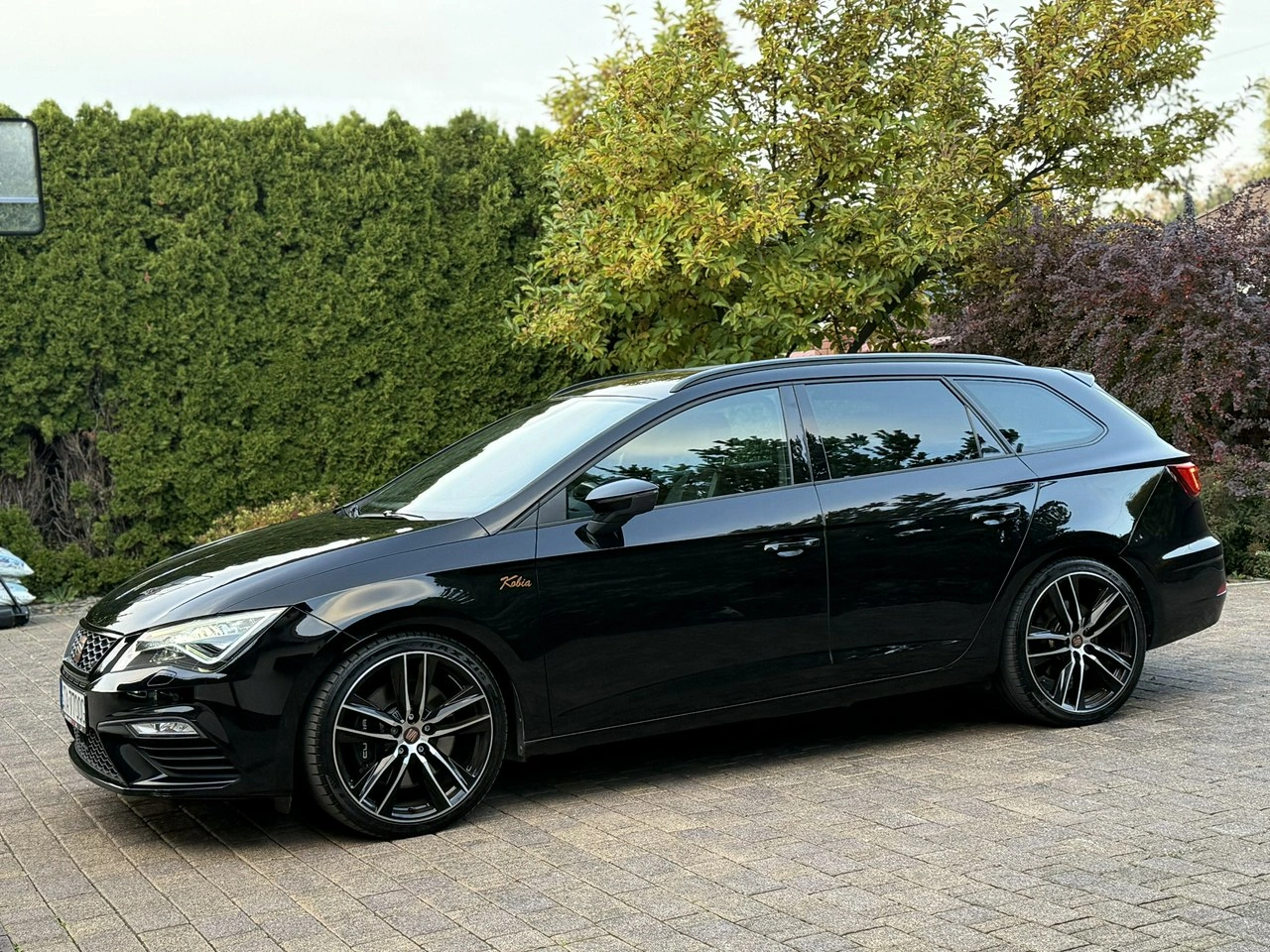 Seat Leon - Zdjęcie 1