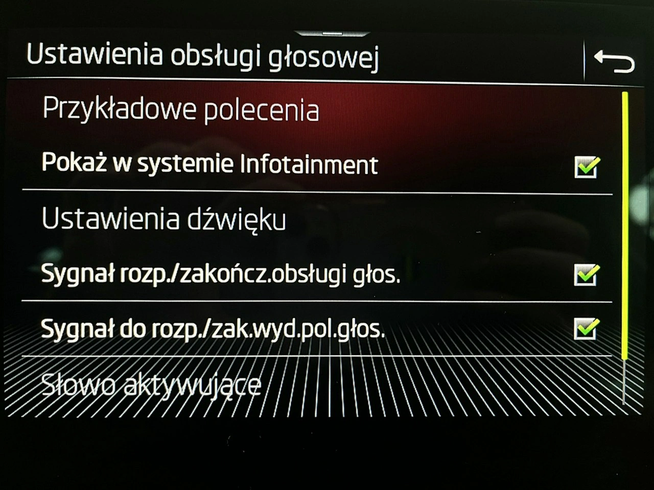 Skoda Kodiaq - Zdjęcie 48