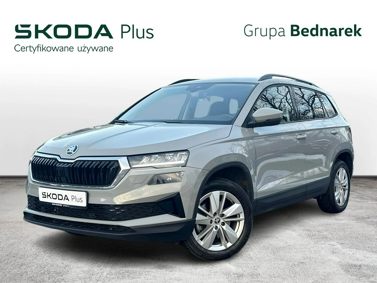 Skoda Karoq - Główne zdjęcie