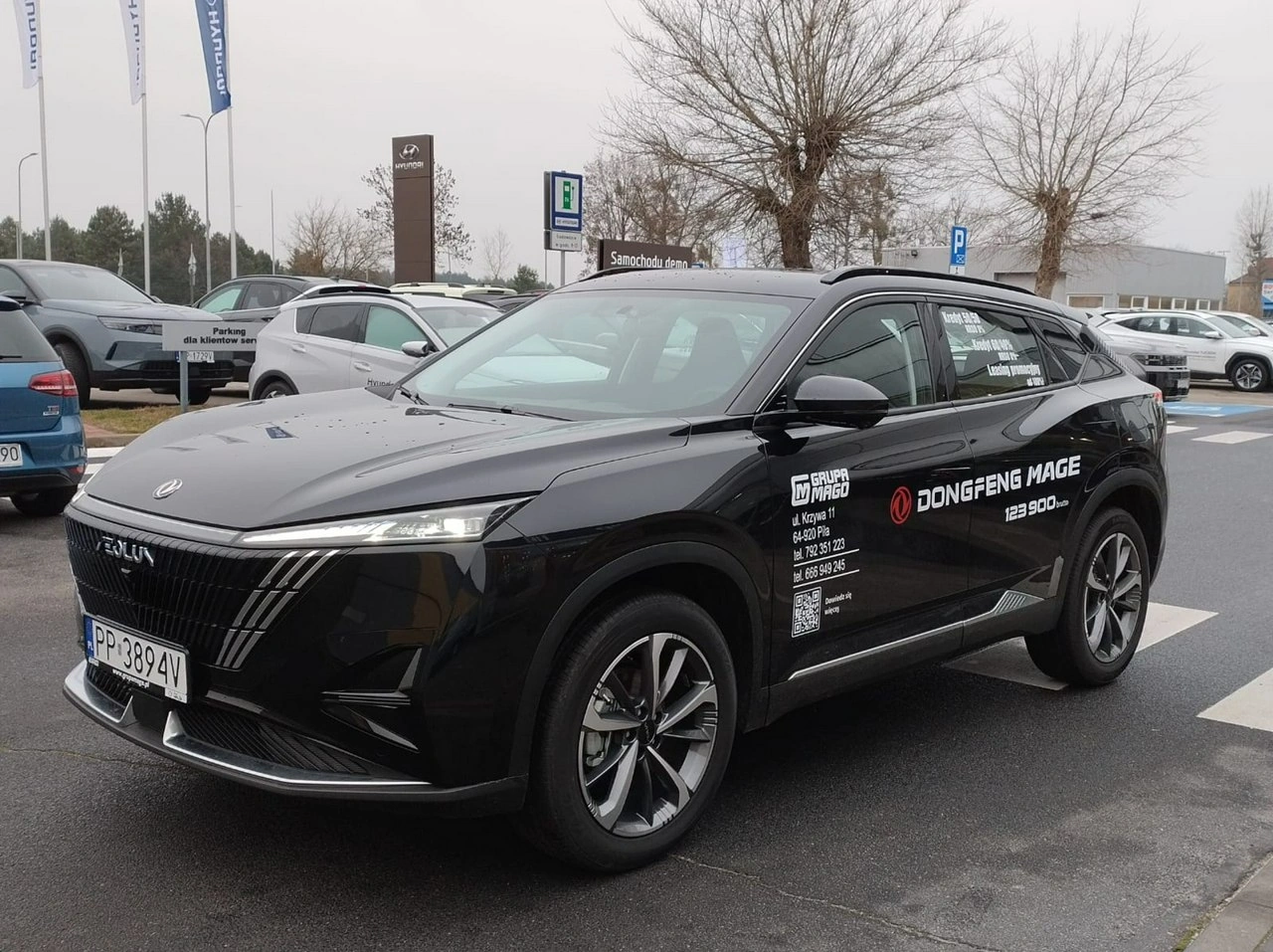 Dongfeng Mage - Zdjęcie 6