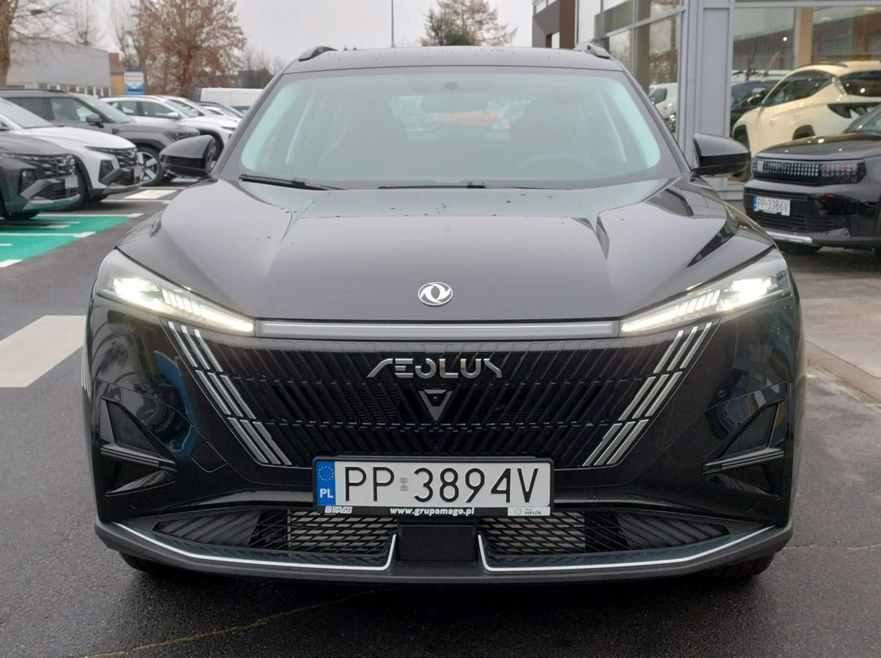 Dongfeng Mage - Zdjęcie 7