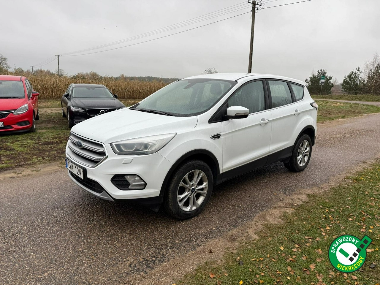 Ford Kuga - Główne zdjęcie