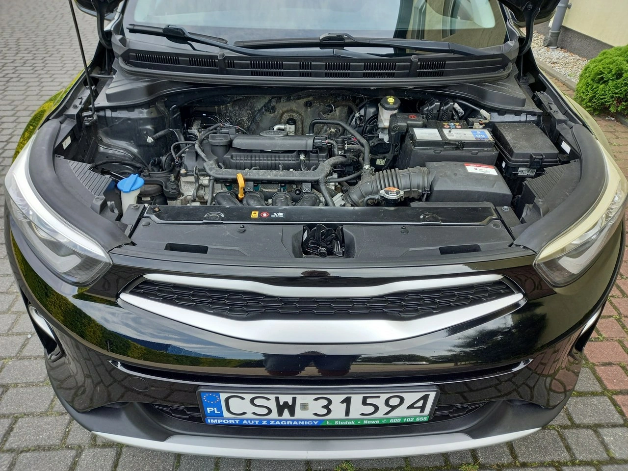 Kia Stonic - Zdjęcie 12