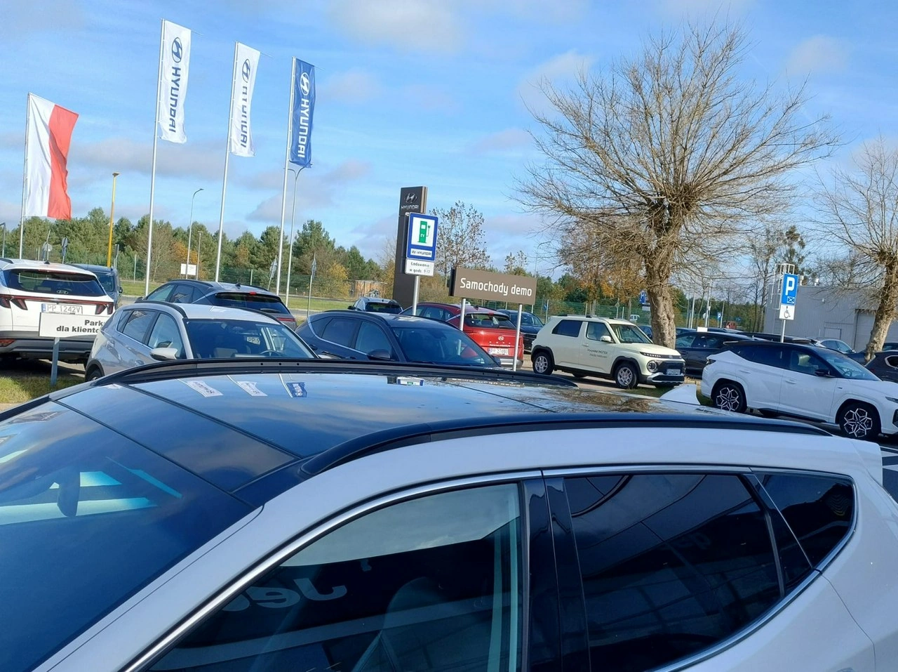 Hyundai Santa Fe - Zdjęcie 7