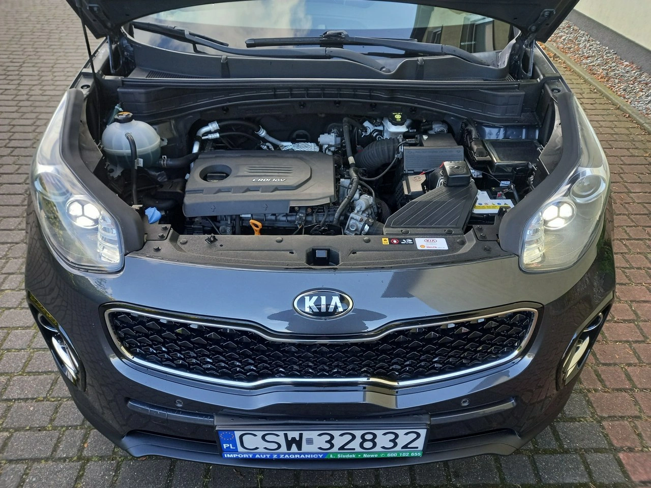 Kia Sportage - Zdjęcie 12