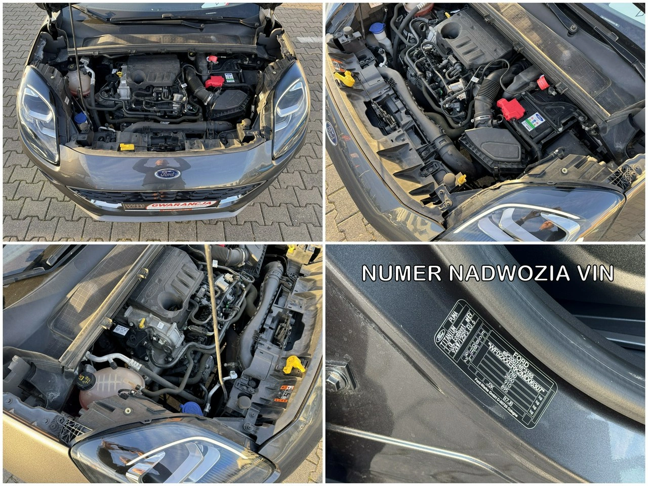 Ford Puma - Zdjęcie 12