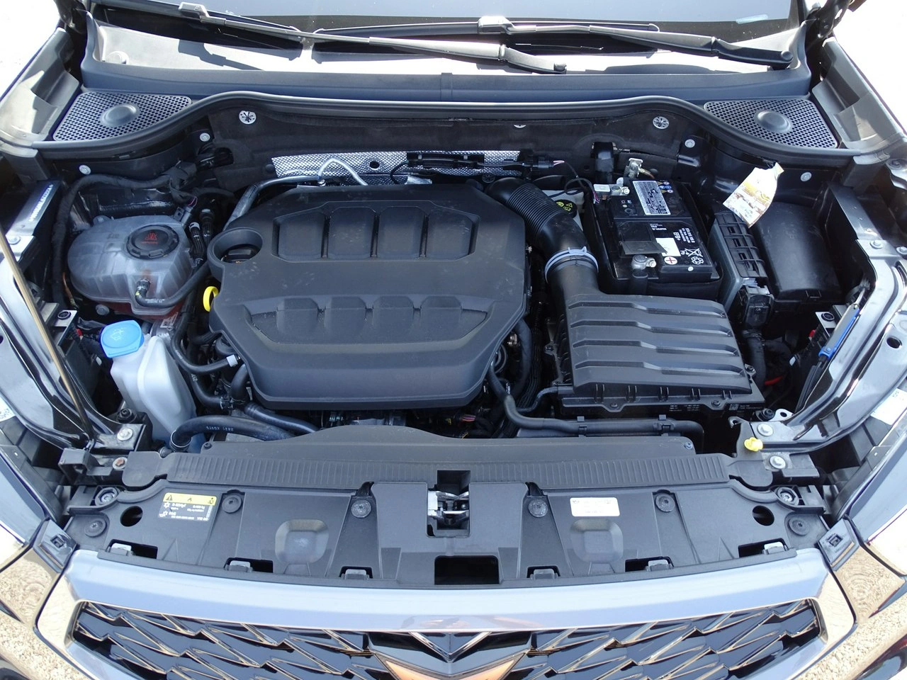 Cupra Ateca - Zdjęcie 31