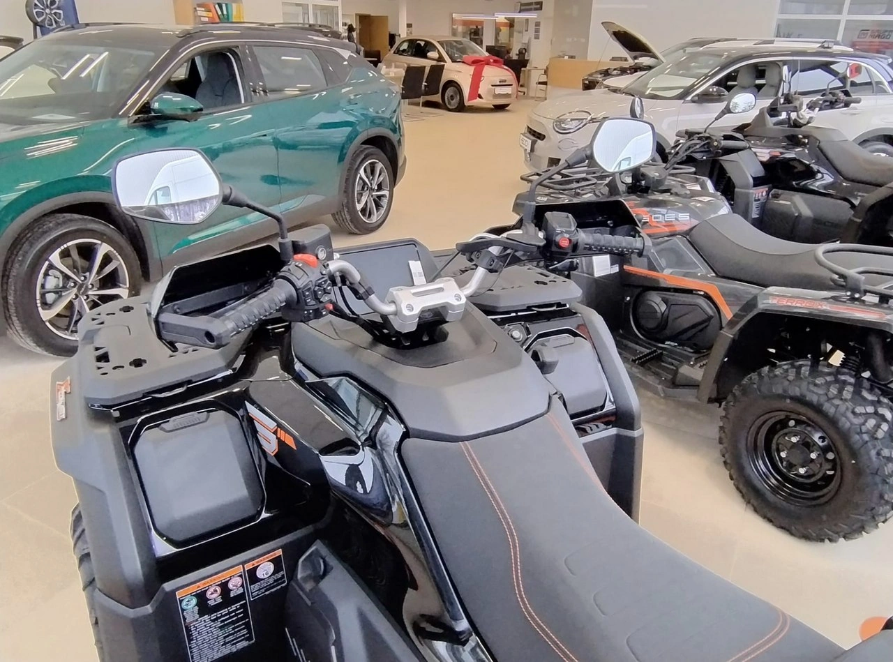 Goes Terrox - Zdjęcie 5