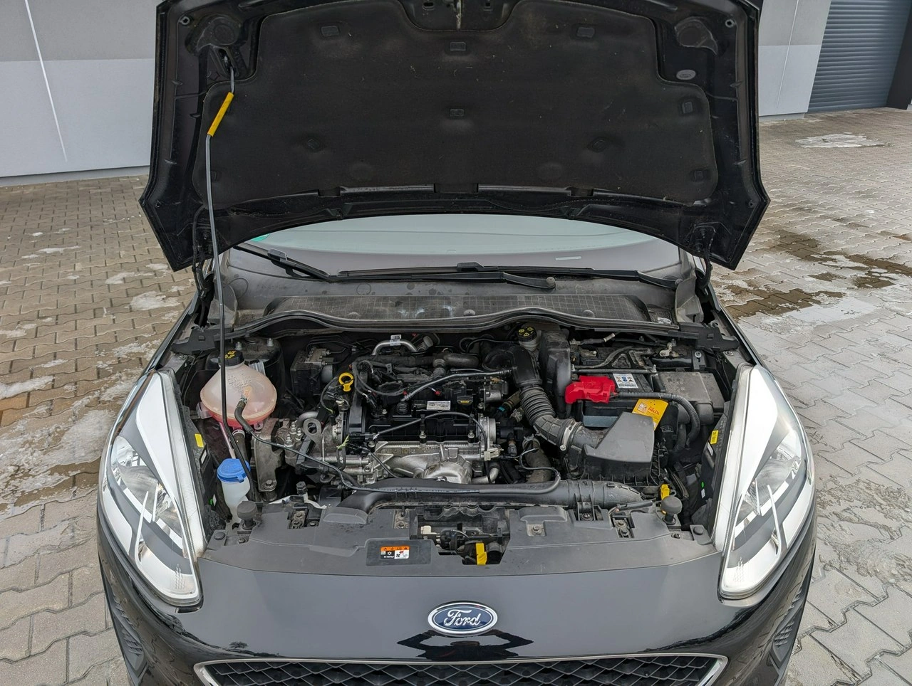 Ford Fiesta - Zdjęcie 39