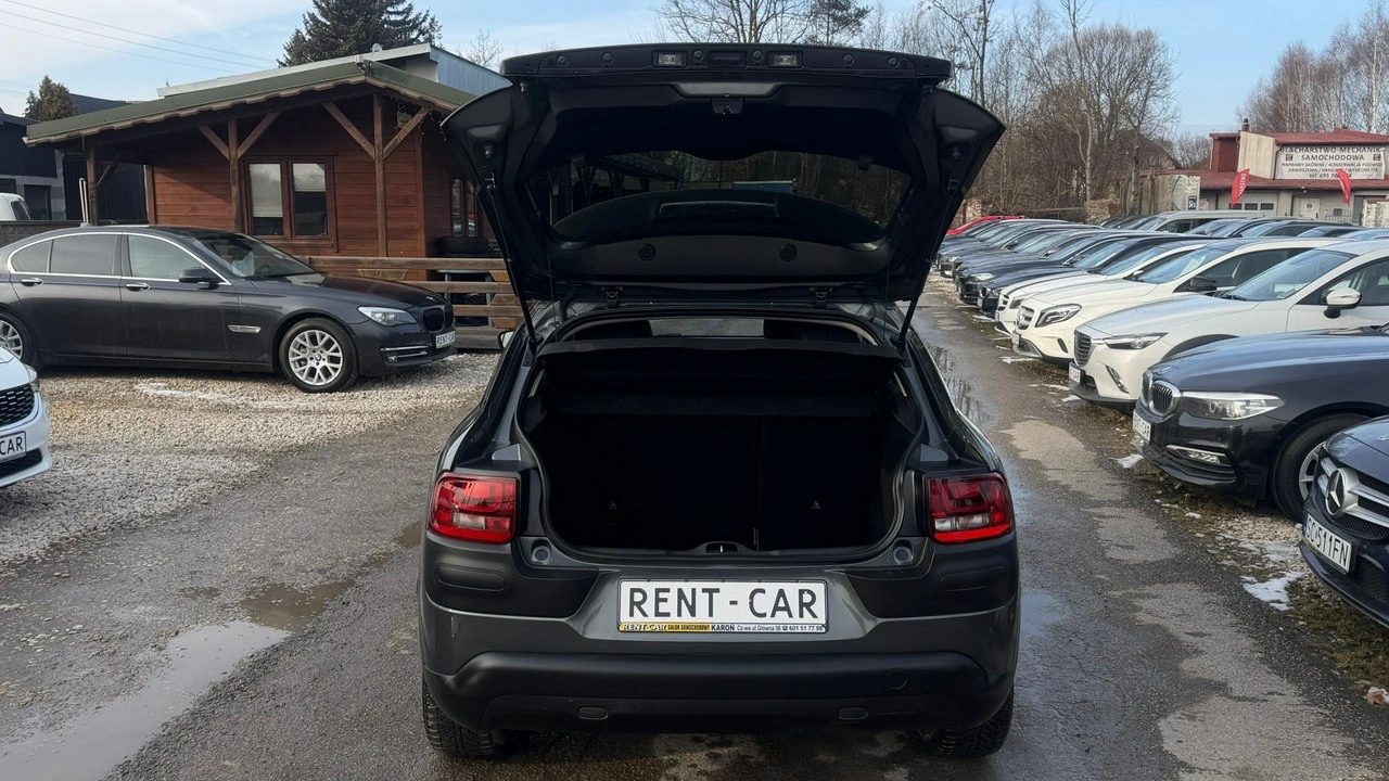 Citroën C4 Cactus - Zdjęcie 31