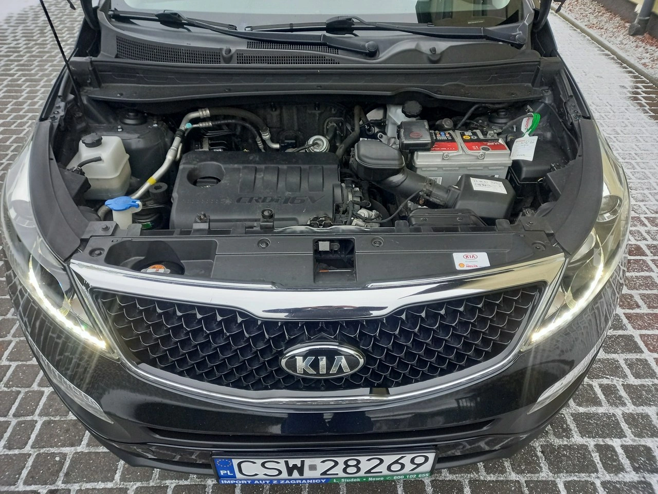 Kia Sportage - Zdjęcie 11