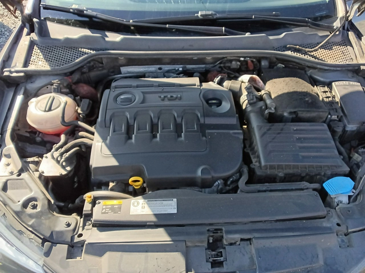 Seat Leon - Zdjęcie 31